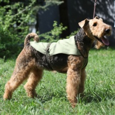 Охлаждающая попона для собак OSSO Fashion