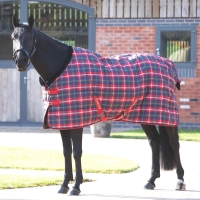 SHIRES TEMPEST Попона денниковая для лошади "Plus", 1200D, 200g, красная клетка
