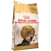 Royal Canin Adult Persian сухой корм для персидских кошек
